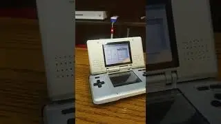 Connecting to the Web Browser on your Nintendo DS