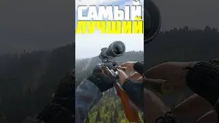 ТОП ЛУЧШИХ ПИСТОЛЕТОВ в DayZ 