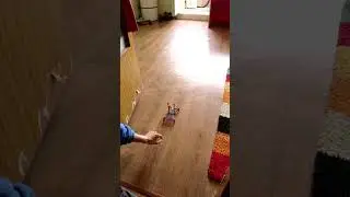 🌑 Эксперимент Белка в колесе Безопорное движение Инерцоид на 3D принтере 