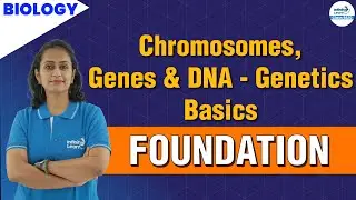 Chromosomes, Genes & DNA - Genetics Basics || Class 10 Science || Infinity Learn Class 9&10