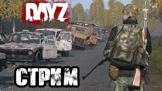 DAYZ  | АТМОСФЕРНОЕ ВЫЖИВАНИЕ В СОЛО!