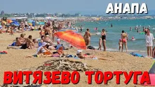 #АНАПА - ТОРТУГА ЛУЧШИЙ ПЛЯЖ #ВИТЯЗЕВО ЛЕТО 2023 ВСЕ ЦЕНЫ