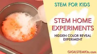 Hidden Color Reveal Experiment | Science for Kids | STEM for Kids