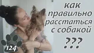 КАК ПРАВИЛЬНО РАССТАТЬСЯ С СОБАКОЙ, чтобы минимально ее расстроить.