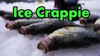 Icing Crappie