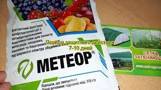 Фунгіцид МЕТЕОР для саду та овочів від хвороб