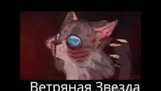 Остролистая и Пепелица - Cinderpelt