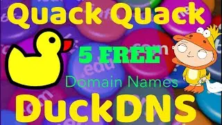 How to get 5 free domain names with DuckDNS