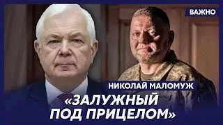 Экс-глава СВР генерал армии Маломуж о конфликте Зеленского с Залужным