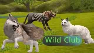 Исполнилась моя мечта - WildClub в WildCraft. Сколько стоят скины и одежда в WildClub.