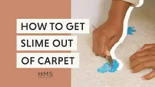 HOW TO GET SLIME OUT OF CARPET