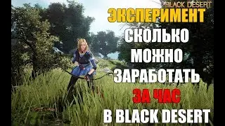 СКОЛЬКО МОЖНО ЗАРАБОТАТЬ ЗА ЧАС ИГРЫ В BLACK DESERT