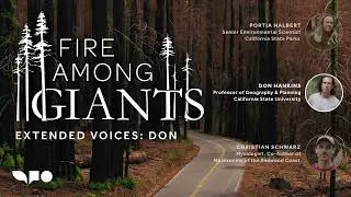 Fire Among Giants: Extended Voices Podcast — Don Hankins