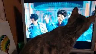 Cat reacts to bts