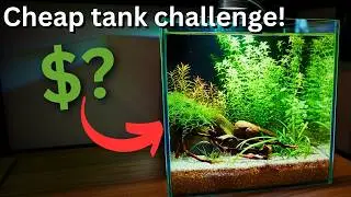 LOW BUDGET Shrimp Nano Tank! Can I build new aquarium for under 50€?