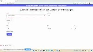 Angular Reactive Form Set Custom Error Messages Working Demo