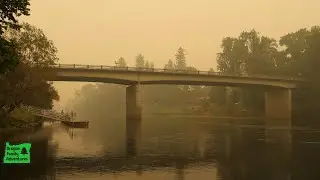 Wildfire Smoke in Southern Oregon