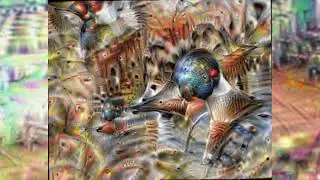 Fish Dream Deep | Google Deep Dream | deep-dream a JavaScript project