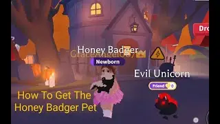 Adopt Me Update New UGC Pet Honey Badger & Halloween Building!