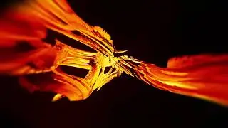 Shader Experiment 12/2021