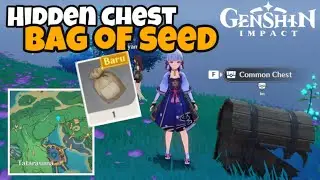 Hidden Chest Bag of a Seed | Inazuma Chest | Genshin Impact