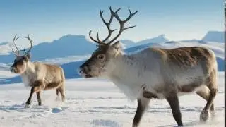 Northern Siberian Folk Music (Republic Sakha, Yakutia)