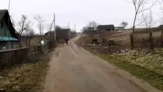 Погоня )