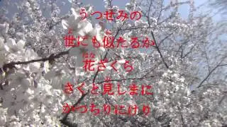 古今和歌集 / The Kokinshû. Spring Poems. Part II, 73 / Весенние песни. Сувий 2 (KKS II, 73)