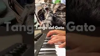 Tango del Gato - Yamaha Reface - Piano Improv