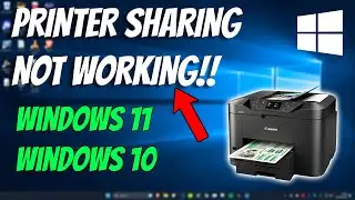 How To Fix Printer Sharing Not Working in Windows 11