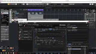 Steinberg Cubase 11 Pro - аккордовая дорожка (создаём аранжировку за 15 минут)