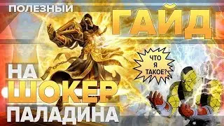 Гайд на ШОКЕР Паладина (PvP Shockadin) | World of Warcraft: Classic