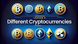 Different Types of Crypto: A KriptoAcademy Course 1, Lesson 6