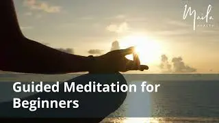 Guided Meditation for Beginners | A 12-Minute Introductory Meditation