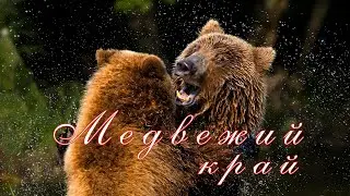 Медвежий край 4К 60fps / Bear country. 4K 60fps