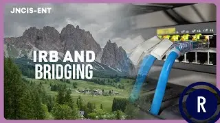 16  IRB BRIDGING