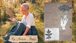 How a Green Witch Profiles Herbs || My Materia Medica Entries