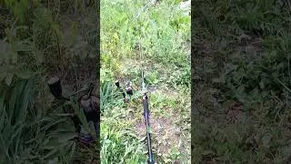 не клюёт 