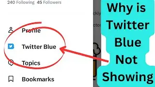 Why is Twitter Blue Not Showing