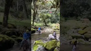 Costa Rica Mountain Adventures in San Geraldo de Dota