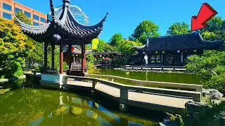 Lan Su Chinese Garden Portland Oregon Full Tour 2024