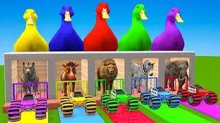 5 Giant Duck Cartoon,Tiger,Cow,Zebra,Gorilla,Dog,Lion,Cat Wild Animals Crossing Fountain 2023