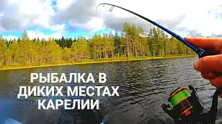 РЫБАЛКА В КАРЕЛИИ РЫБА НА КАЖДОМ ЗАБРОСЕ! ДИКИЕ МЕСТА, клёвая рыбалка на озере, рыбалка 2023