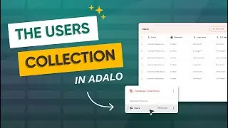 The Users Collection | A No Code App Builder Tutorial