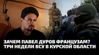 ЗАЧЕМ ПАВЕЛ ДУРОВ ФРАНЦУЗАМ и ЧТО ПРОИСХОДИТ В КУРСКОЙ ОБЛАСТИ ТРЕТЬЮ НЕДЕЛЮ / ЛАБВАКАР