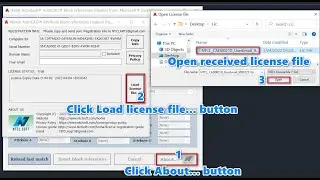 How to load a license received from NTCL Soft