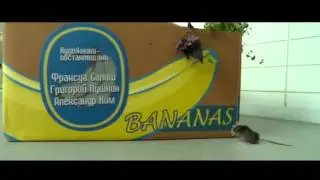 Кухня В Париже Трейлер