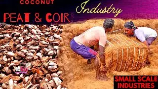 How to Make Coco Peat | Coconut Fibre Business | Coir manufacturing process / Small Scale Industries