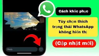 Tùy chọn thích trạng thái WhatsApp Cập nhật mới | Cách khắc phục tùy chọn  thích trạng thái WhatsApp