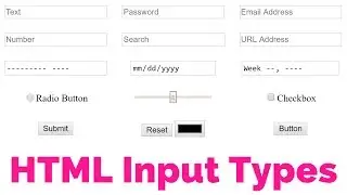 Mastering HTML Forms: A Comprehensive Guide to 18 Input Types